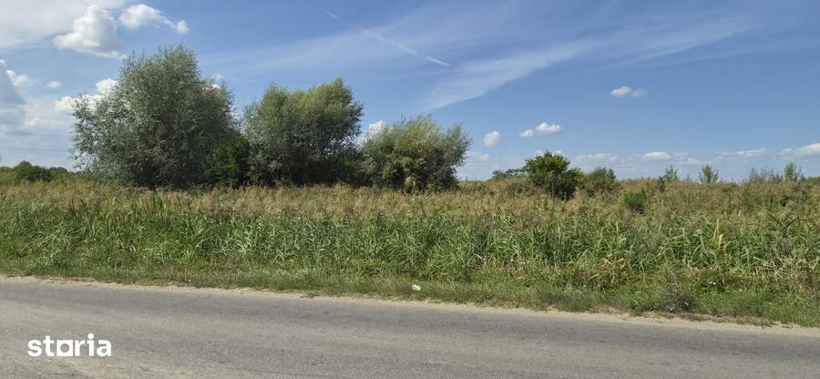 Teren de 18600 mp, în Ștefănești