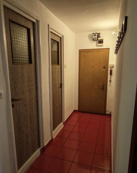 Apartament 2 camere decomandat Raul Doamnei, Drumul Taberei - 10