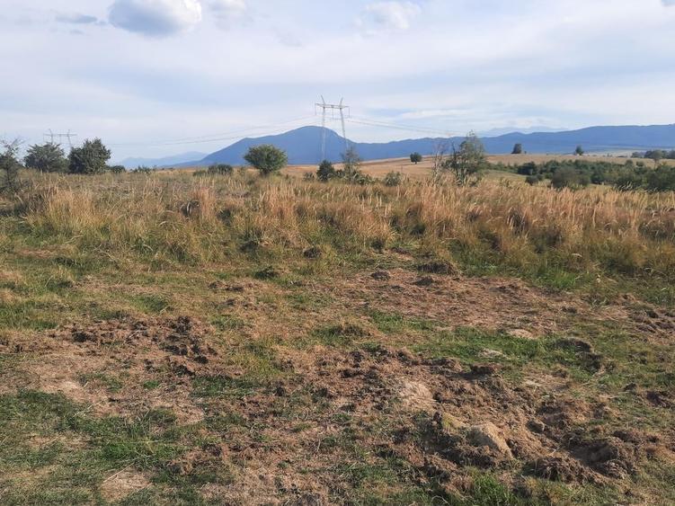 Teren Construcții extravilan de 10756 mp, în Dumbrăvița