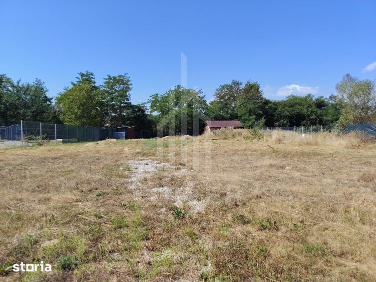 TEREN INTRAVILAN DE VANZARE VALEA AVRIGULUI | 1.913 MP - 9