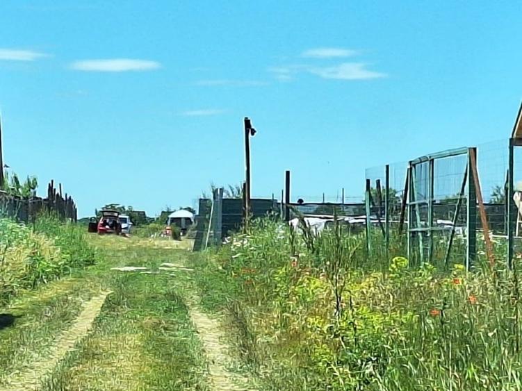 Teren Construcții intravilan de 500 mp, în Tărtășești