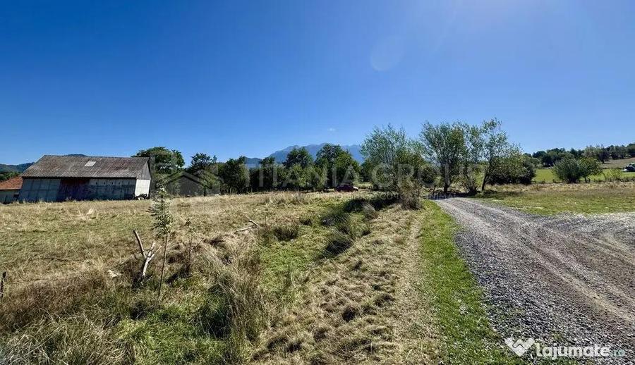 Teren de 1200 mp, în Sohodol