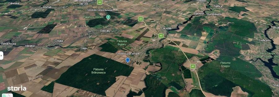 Ocazie Moara Vlasiei! Teren 1.008 MpPadure, Utilitati,Strada B - 5