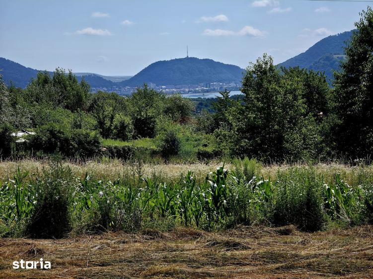 Teren de 600 mp, în Alexandru cel Bun