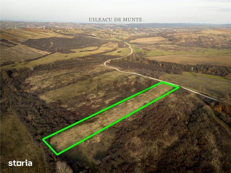 Teren de 6895 mp, în Paleu