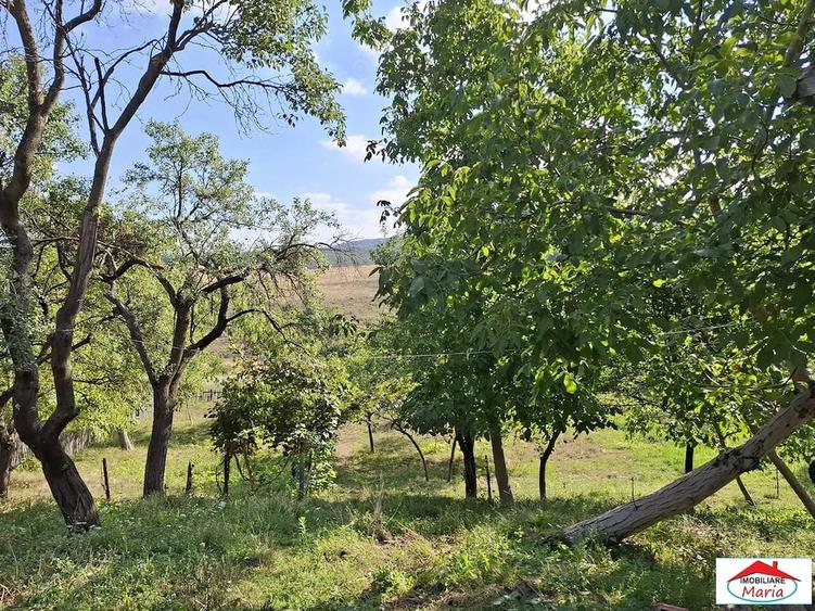 Casă cu 3 camere în Cuța