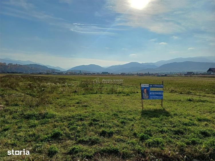 Teren de 10000 mp, în Tălmaciu