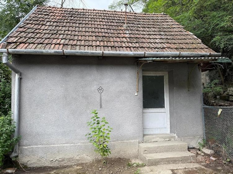Teren de 8000 mp, în Dealu Mare