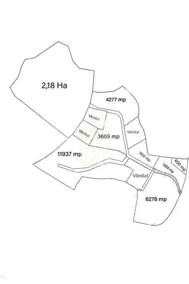 Teren Construcții extravilan de 21800 mp, în Colibița