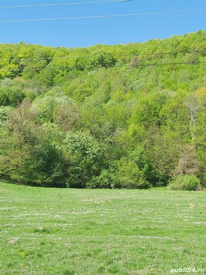 Teren de 8500 mp, în Părău