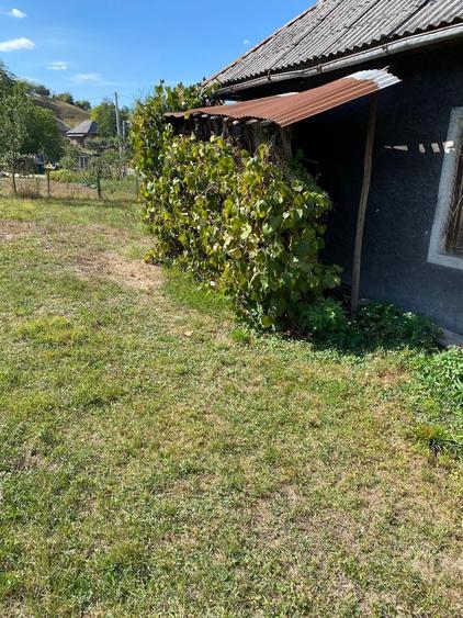 Casă cu 2 camere în Mara