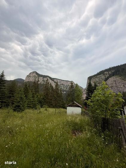 Teren intravilan de vanzare in Lacu Rosu panorama spectaculoasa - 3