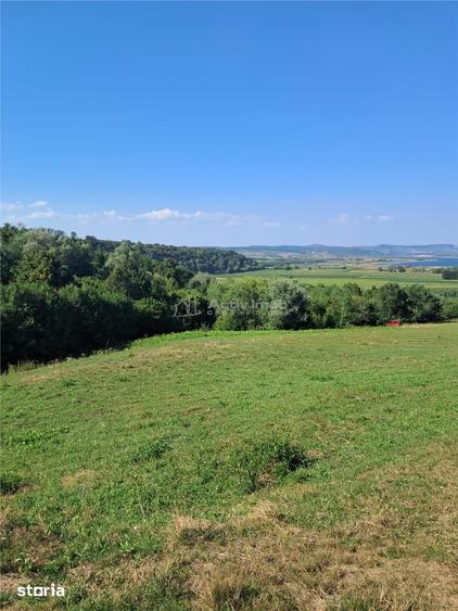 Teren de 17600 mp, în Central