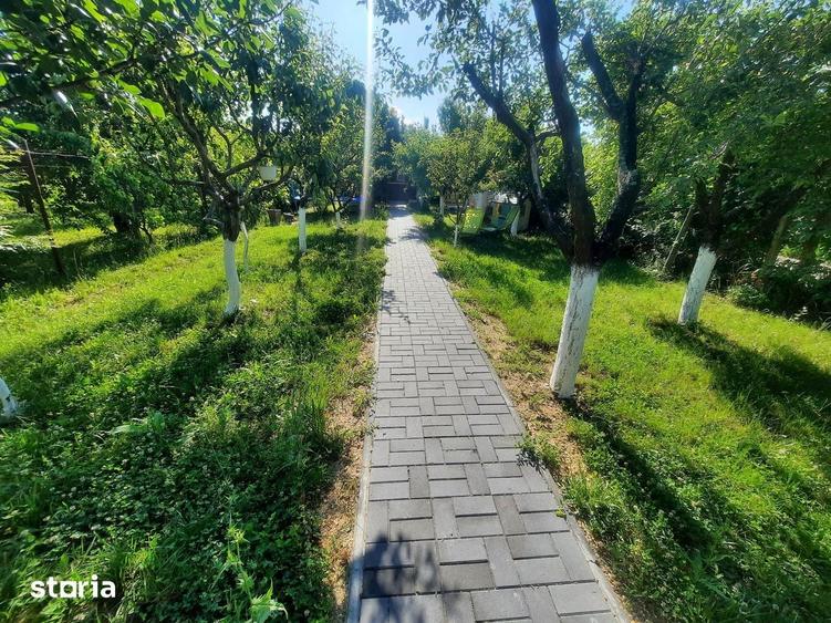 Casa de vacanta teren 5 Ari intravilan Bercu Rosu - Satu Mare - 5