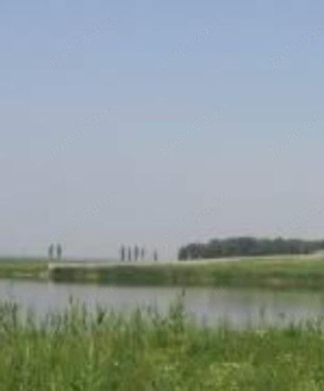 Teren de 450 mp, în Mogoșoaia