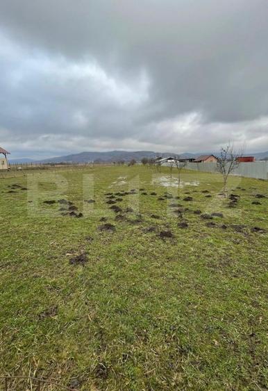 Teren Construcții intravilan de 5600 mp, în Brâncovenești
