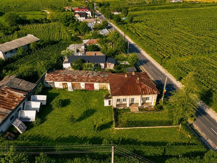 Teren Construcții intravilan de 4000 mp, în Vârteșcoiu