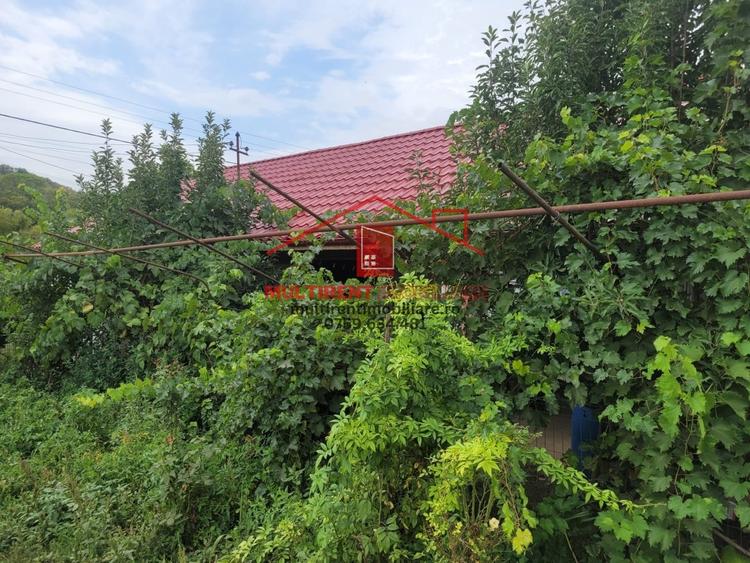 Casă individuală cu 3 camere cu Teren 2663 Mp în Telița