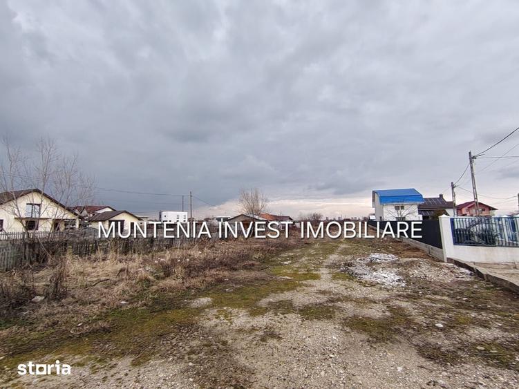Teren de 7000 mp, în Bradu