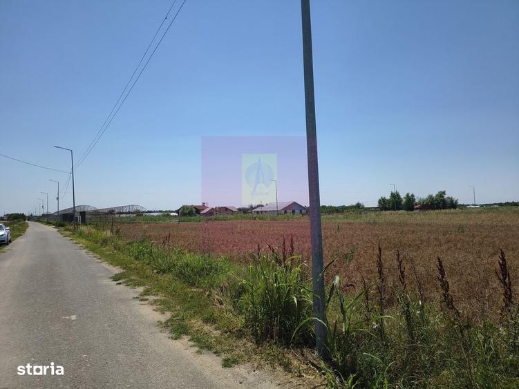 Spațiu comercial, în Braniștea