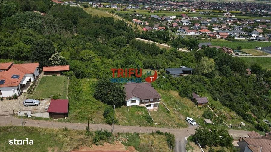 Spațiu comercial, în Central