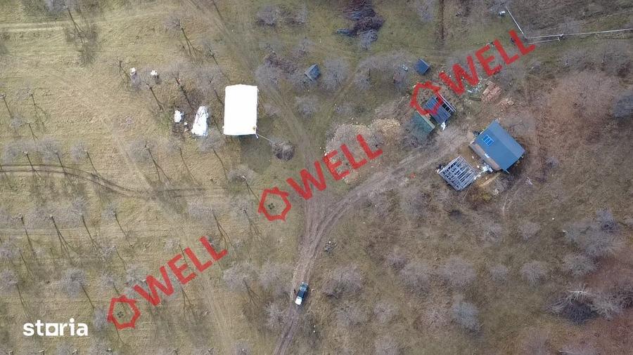 Teren extravilan de 25.274 m2 de vanzare in Calnic, langa padure! - 1