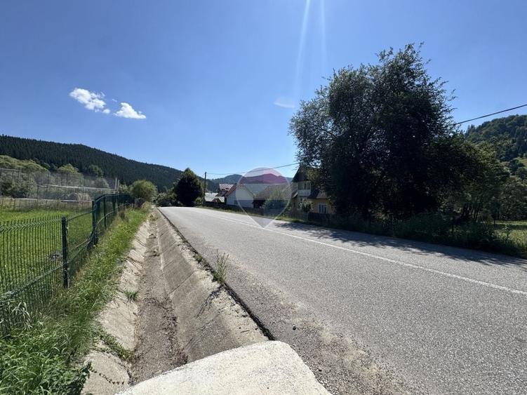 Teren Construcții intravilan de 7670 mp, în Borca