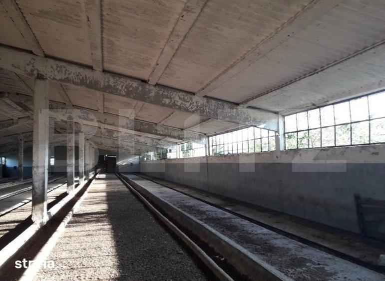 De vanzare teren-intravilan, ferma 9,5 ha, Tulcea-Sf. Gheorghe - 9