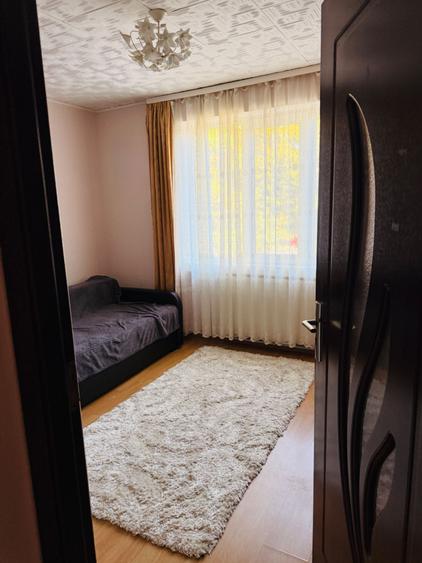 Apartament cu 2 camere de inchiriat Baia Mare, Bd. Regele Mihai I - 3