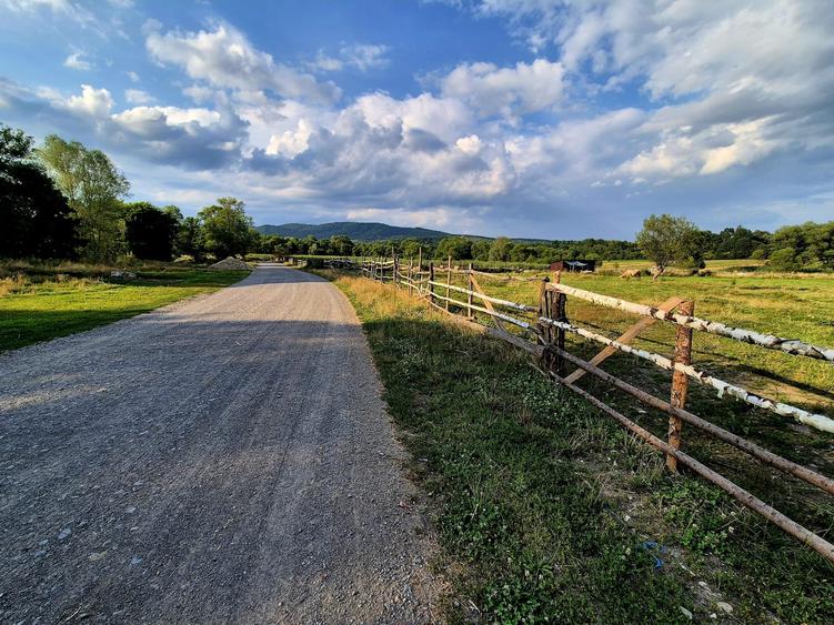 Teren agricol extravilan de 3021 mp, în Șinca Nouă