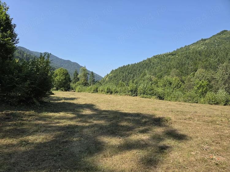 Teren de 5000 mp, în Brateș