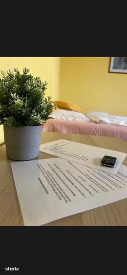 Apartament 1 camera, langa Iulius Mall - 3