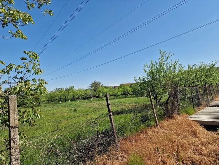 Teren de 1688 mp, în Călinești