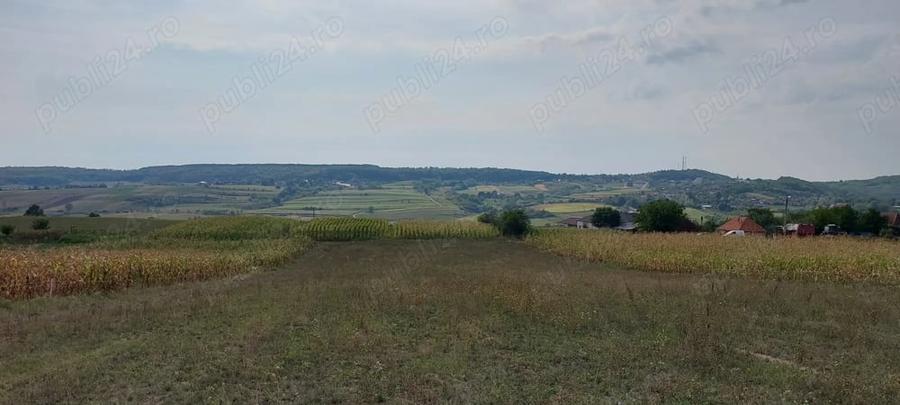 Teren de 18000 mp, în Drăgești
