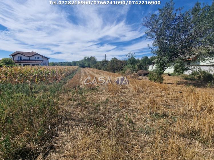 Teren Construcții intravilan de 2309 mp, în Cartiu