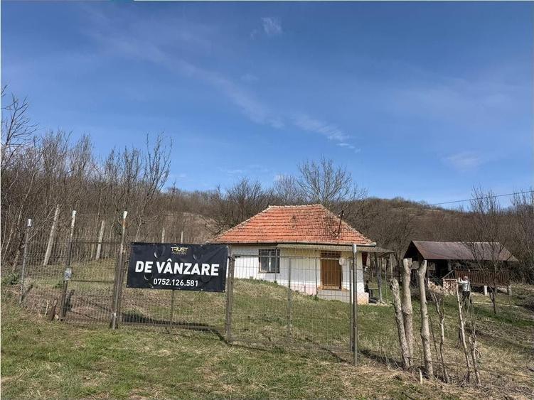 Teren Construcții intravilan de 11400 mp, în Corpadea