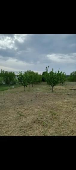 Casă cu 3 camere în Central