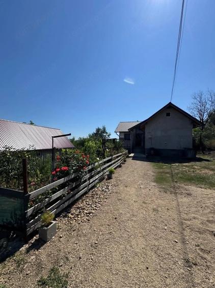 Casă cu Teren 5500 Mp în Luncani