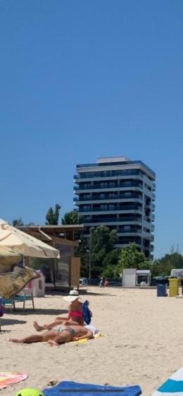 Apartament și studio de închiriat  - 2