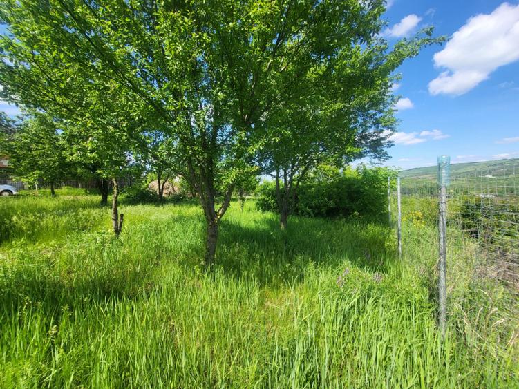 Teren de 900 mp, în Bârnova