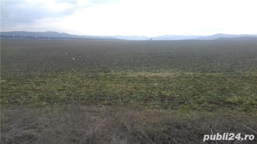 Teren de 3533 mp, în Florești