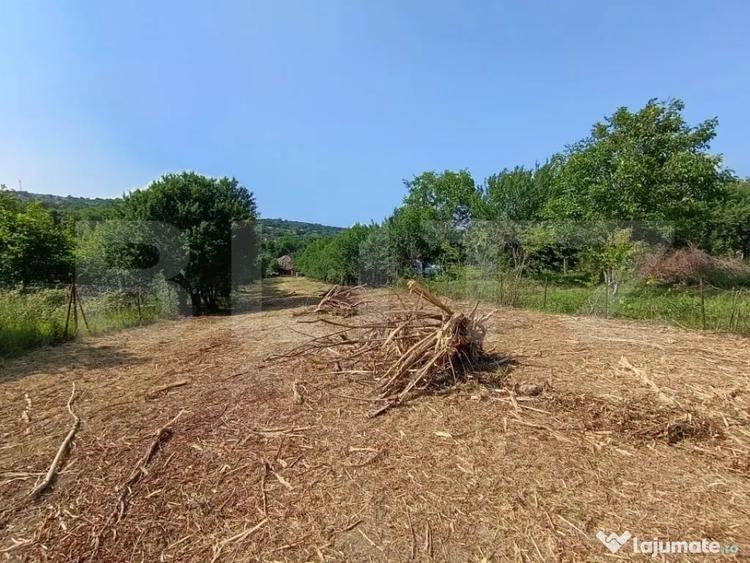 Casă cu 2 camere cu Teren 3350 Mp în Central
