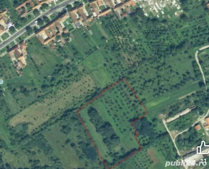 Teren de 13000 mp, în Glimboca