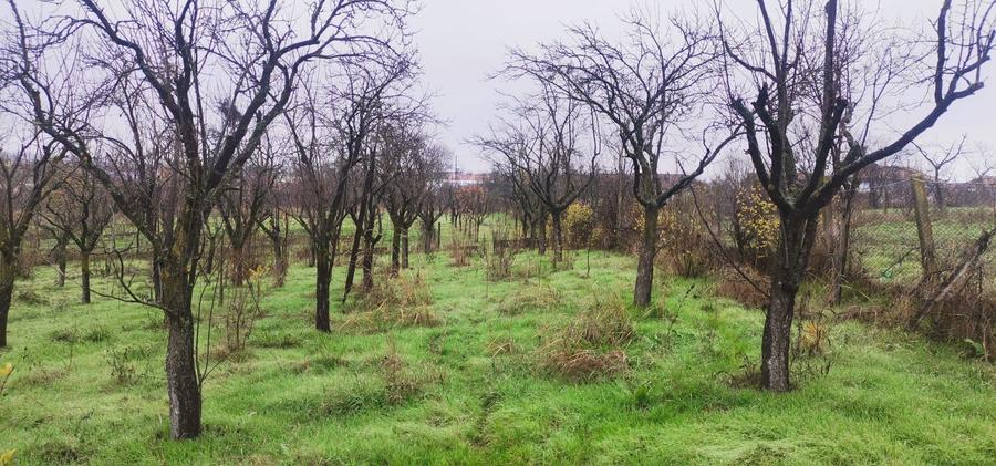 Casă cu 3 camere în Stolnici