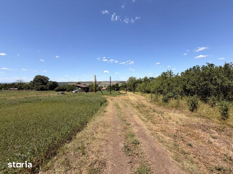 Teren 2.900 mp - 900 mp intravilan Jucu de Sus Panorama Investitie - 1