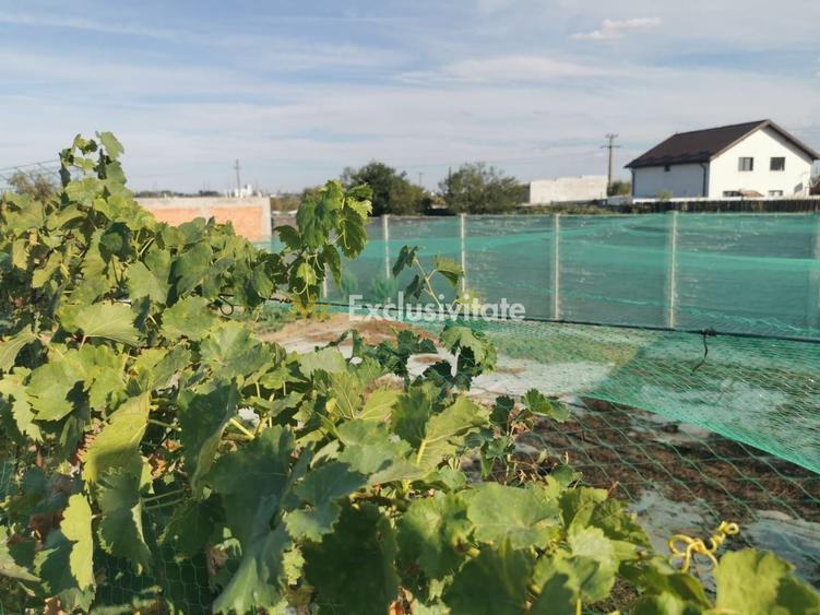 Teren Construcții intravilan de 196 mp, în Cernele