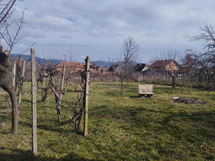 Casă individuală cu 5 camere cu Teren 1800 Mp în Buteni