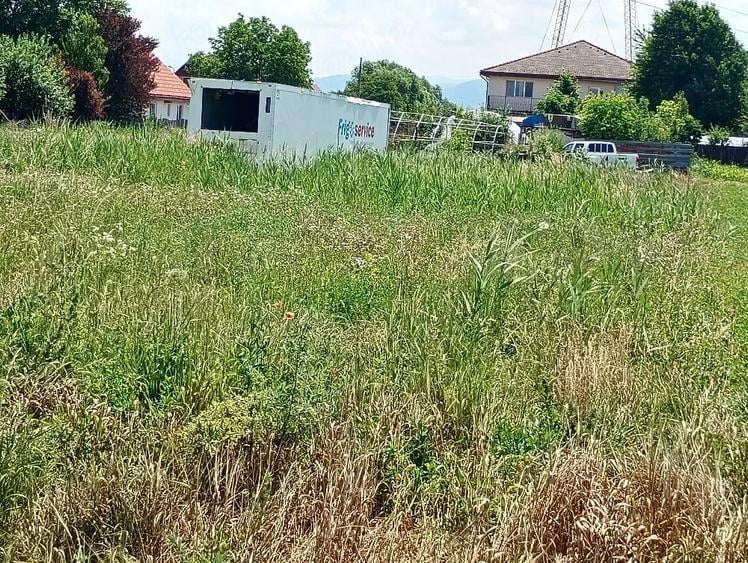 Teren de 1010 mp, în Stupini