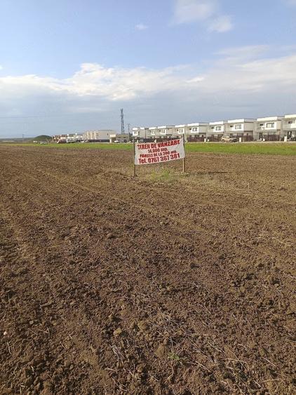 Teren de 300 mp, în Mărăcineni
