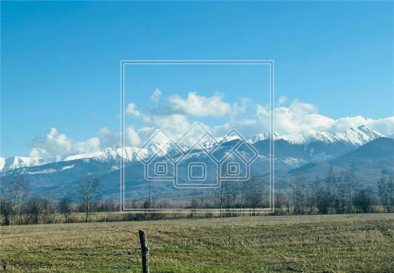 Teren agricol extravilan de 2600 mp, în Cârțișoara